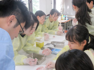 専門基礎分野