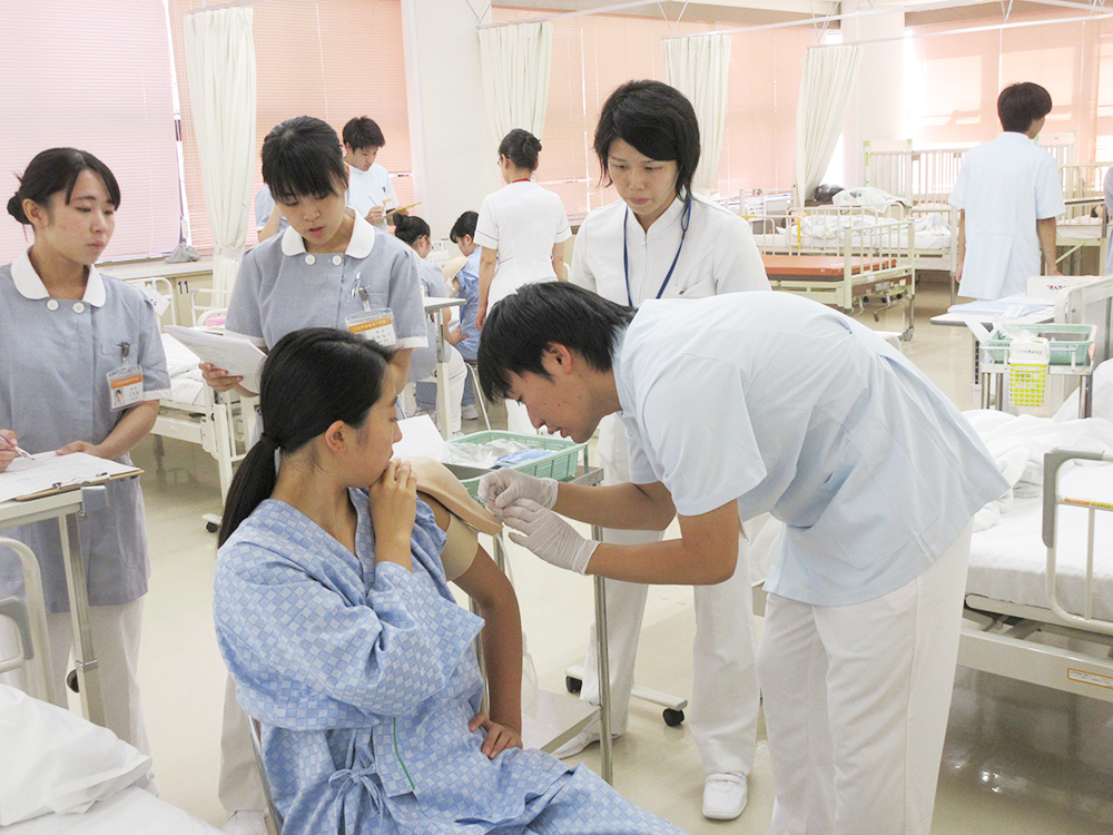 基礎分野I・II 授業の様子