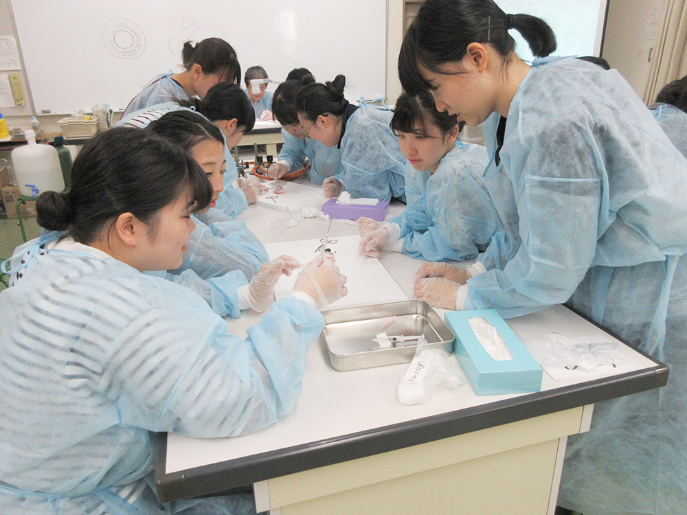 看護専門学校の授業の様子
