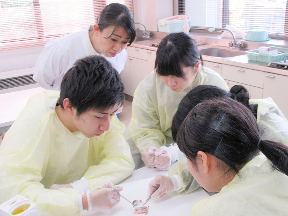 看護専門学校の授業の様子